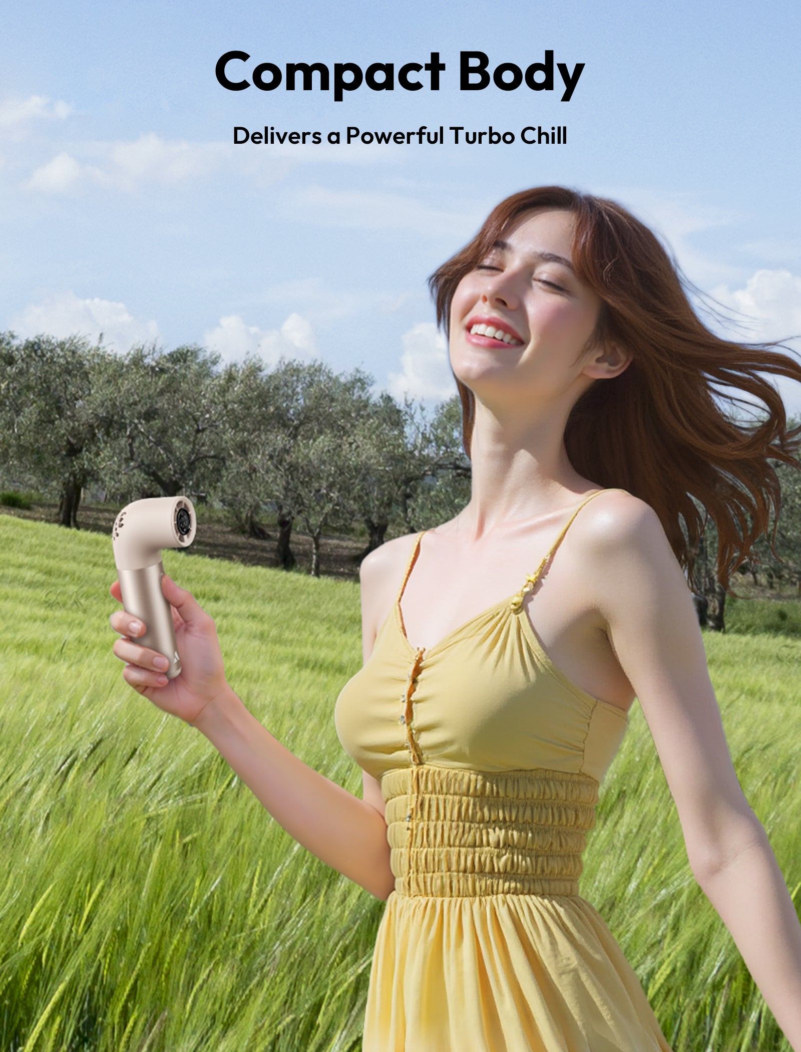 Handheld High-Speed Fan Aero Pro
