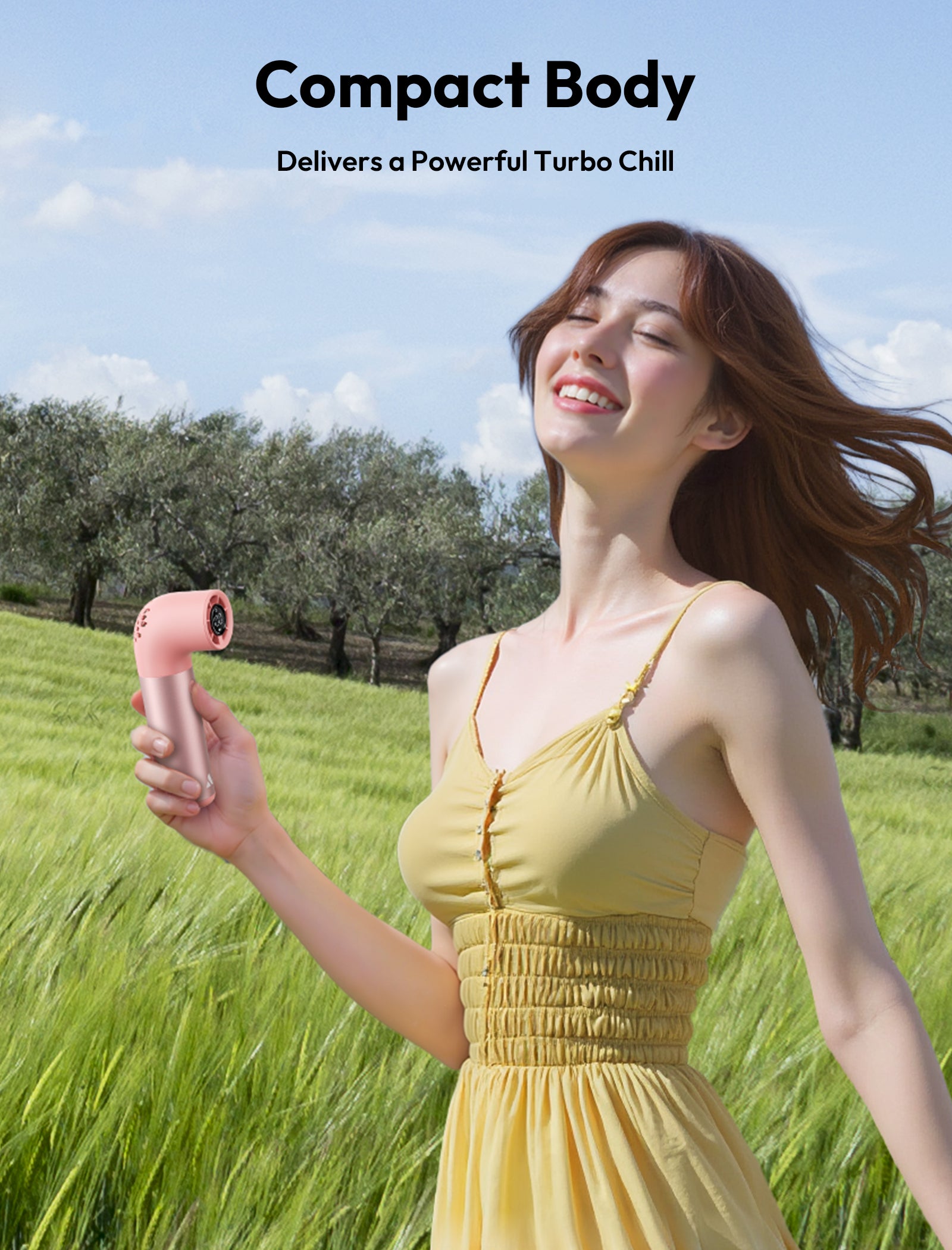Handheld High-Speed Fan Aero Pro