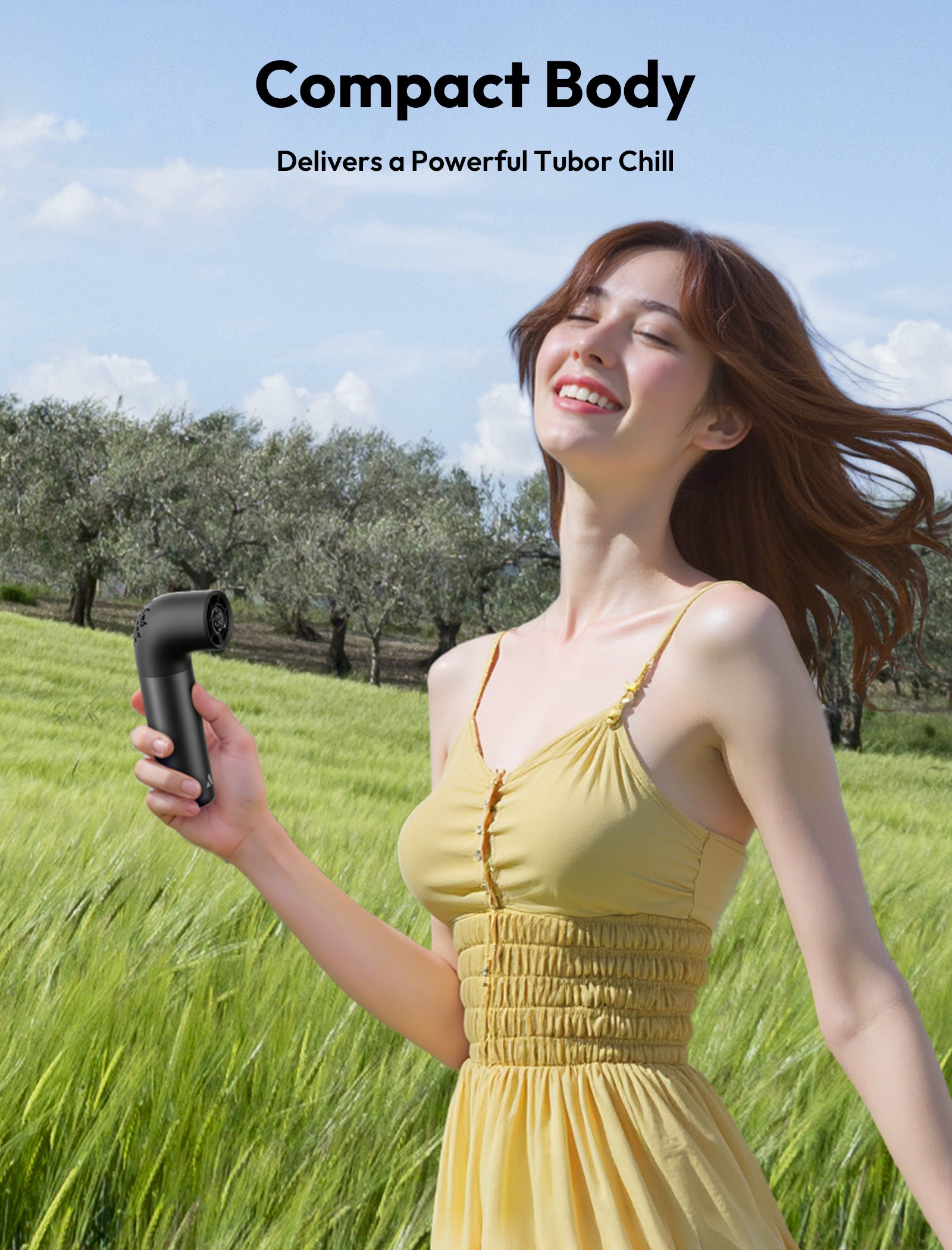 Handheld High-Speed Fan Aero Pro