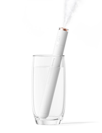 Portable Humidifier